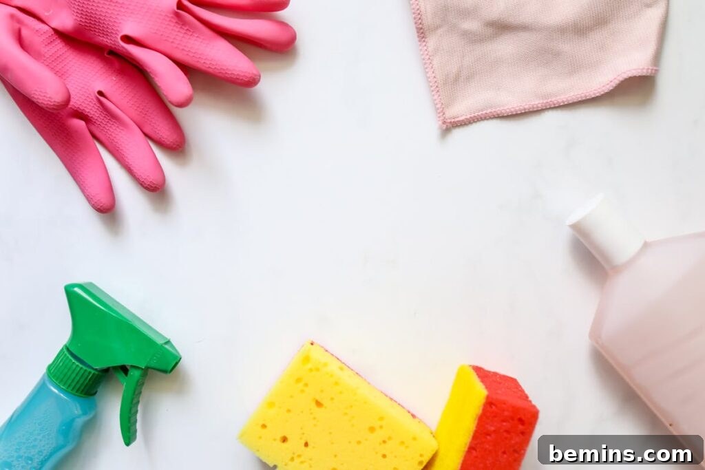 The Ultimate Spring Refresh: Your Comprehensive Cleaning Guide 6 Cleaning Supplies with Rubber Gloves