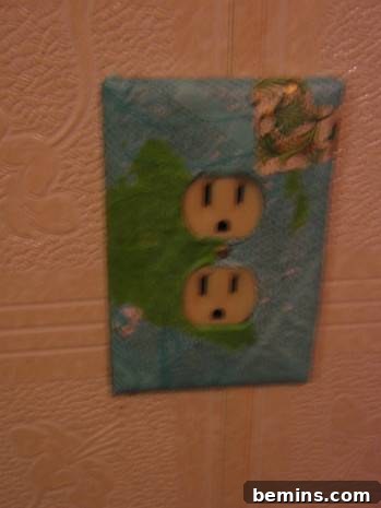 "Electric Socket plates"