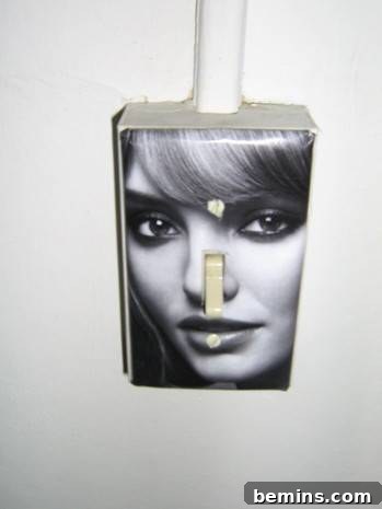 Switch plate ideas : change the cover and make it look good.
