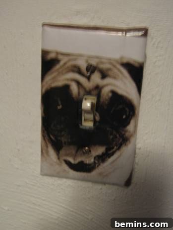 A light switch plate with a picture of a pug on it.