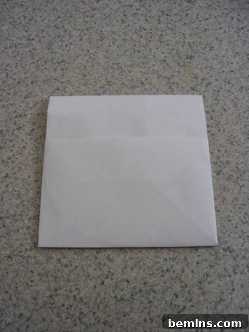 The top flap is being slipped into the pocket to secure the case.