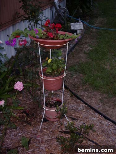 A three-tiered planter holding clay pots filled with plants. A beautiful DIY tiered plant stand made from a tomato cage, showcasing a creative gardening solution.