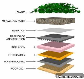 Close-up of a thriving green roof with various plant species