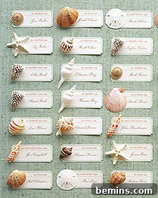 Seashell Place Cards: Different shells are arranged with labels next to them.