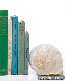 Seashell Bookends: Five books held up by a white snail shell.