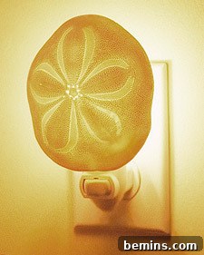 Seashell Night Light: A shell night light.