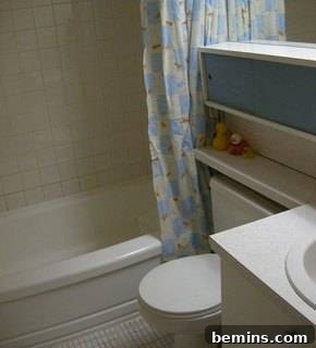 Before: The original, less-than-inspiring bathroom