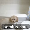 Applying the self-adhesive vinyl floor tiles