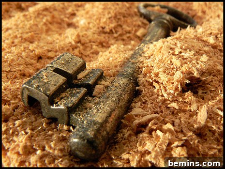 A metal tool sits in a pile of sawdust.
