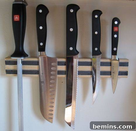 Rental Kitchen Rehab: Maximizing Functionality in a Tiny Kitchen 4 Knives are arranged on a magnetic knife holder.