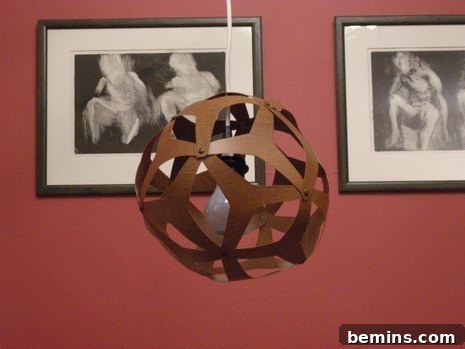 DIY Coral Pendant Lamp Finished Project 1