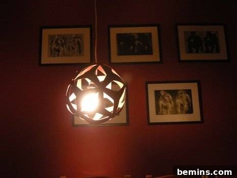 DIY Coral Pendant Lamp Installed