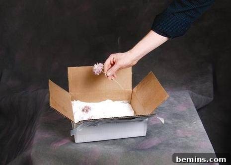 A person placing a flower in a cardboard box filled with borax to preserve it.