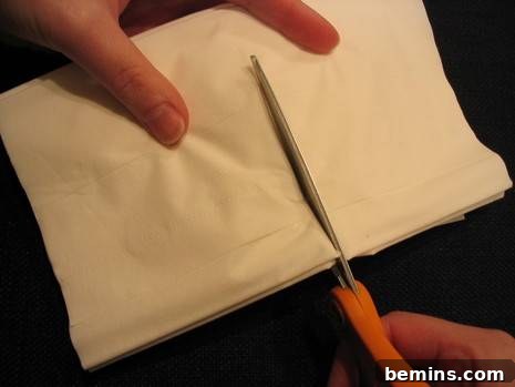 Hands are cutting several pieces of tissue with scissors.