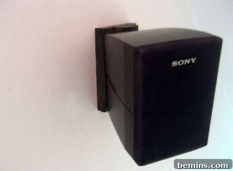 Mounted Speakers