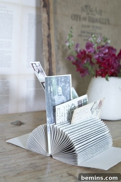 A Rolodex displaying multiple photos within its sections, showcasing its functionality as a picture holder.