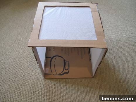 Creating a Budget-Friendly Foldable Light Box 13 Folding the light box - step 3