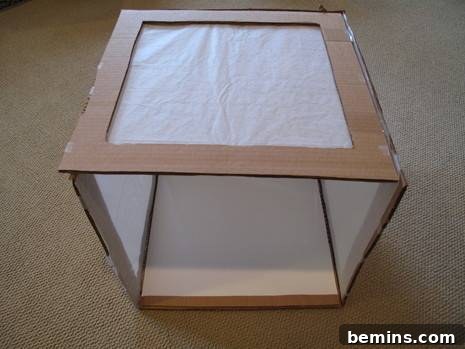 Creating a Budget-Friendly Foldable Light Box 15 Poster board in place