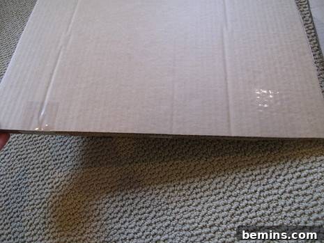 Creating a Budget-Friendly Foldable Light Box 5 Taping the cardboard squares together