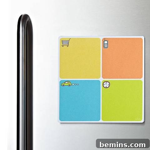 Multicolored Stainless Steel Non-Magnets for Refrigerator