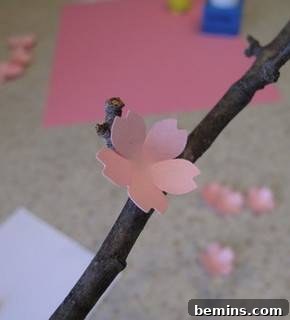 Drying Pink Flowers on the Branch