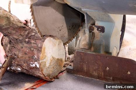 Rustic Branch Coasters 5 Cutting wood slices from a tree limb with a miter saw
