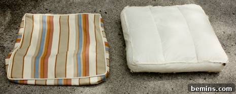 Removing Old Cushion Insert