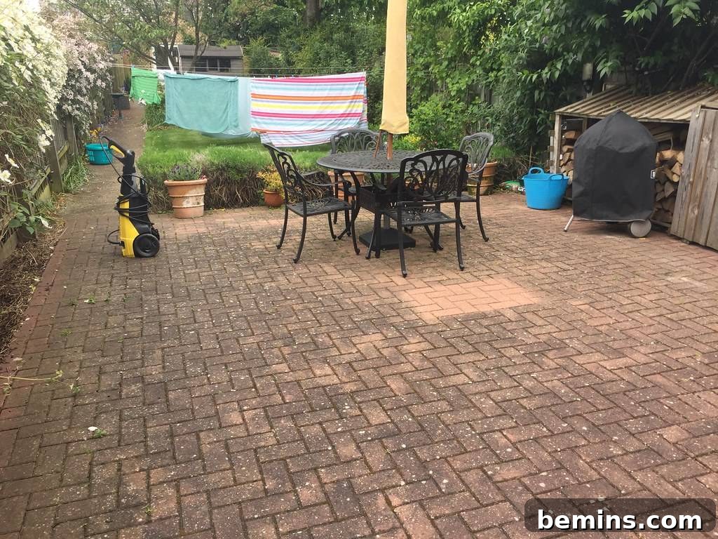 Patio Rescue: Banishing Mildew and Algae 3 Algae growth on a patio surface, highlighting the need for effective cleaning methods.