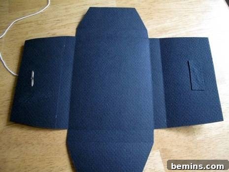 Img_0006 - The interior of the envelope showing the brad pins covered with card stock for protection.