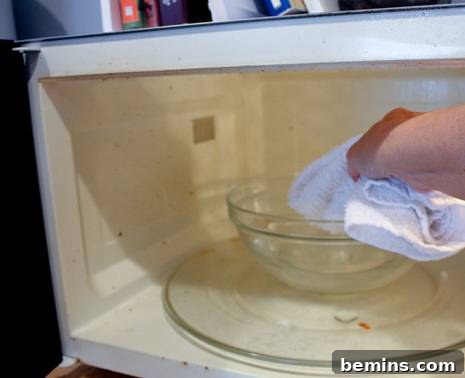 Wiping Down the Microwave