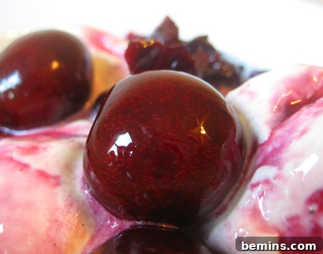 Freshly Canned Cherries
