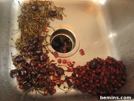 Pitted Cherries