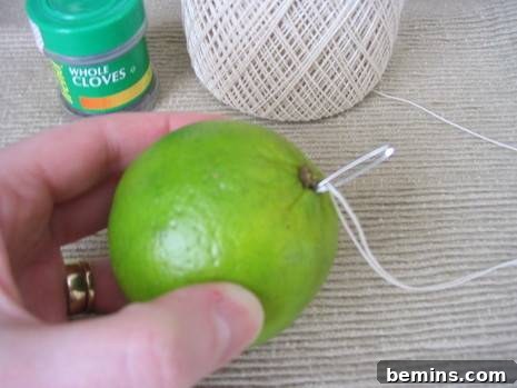Timeless Fragrance: Crafting Pomanders 4 Close-up of a hand holding a lime, demonstrating the initial stages of pomander creation.