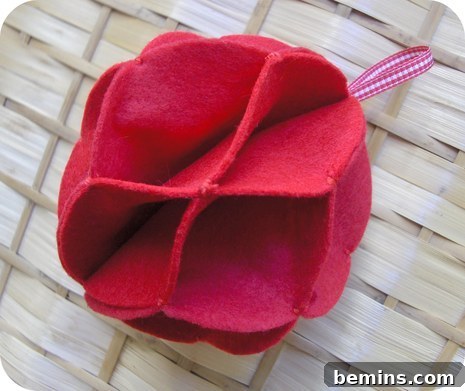 Felt Circle Ornament DIY 2 Beautifully Crafted Felt Ornament