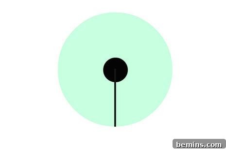 Support Rings