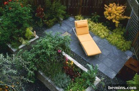 A close-up of various ground covers creating a textured landscape