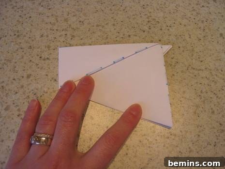 Hand put paper rabbit