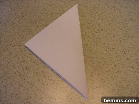 Fold the triangle in half again