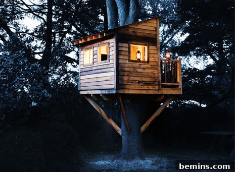 Building Your Dream Treehouse: A Backyard Adventure 2 Backyard Tree Fort Construction