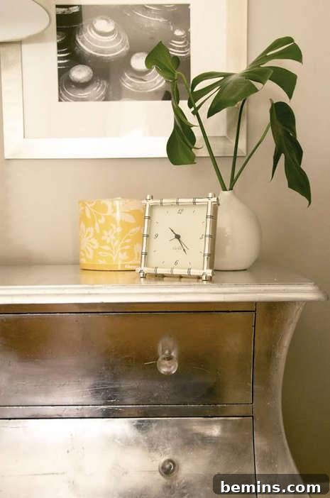 Bombay Chest Transformation