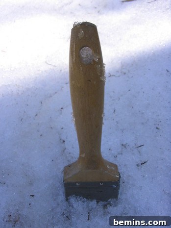 Paint brush encased in ice