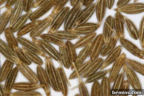 Use Spices Like a Pro: Volume II 4 A group of cumin seeds.