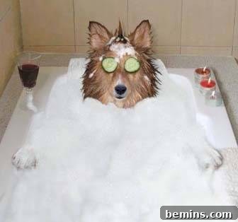 Dog enjoying a bath
