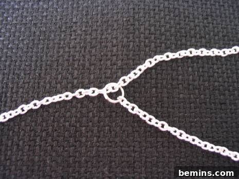 "A silver Necklaces for Bottle"