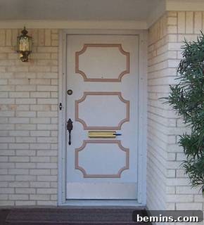 Before Transformation - Plain Door