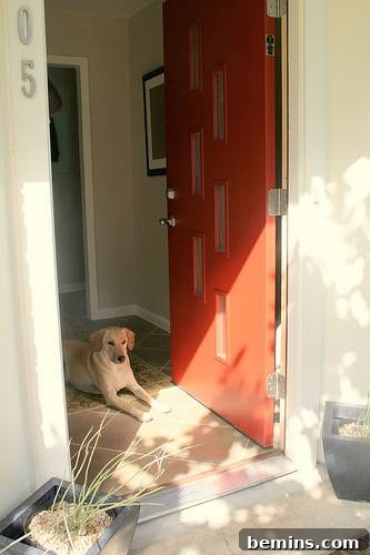 Another After Transformation - Stylish Door with Doorlite Kit