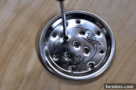 Mason Jar Fruit Fly Trap 4 Fruit fly trap lid with holes