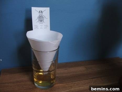 Mason Jar Fruit Fly Trap 4 Paper funnel Fruit fly trap