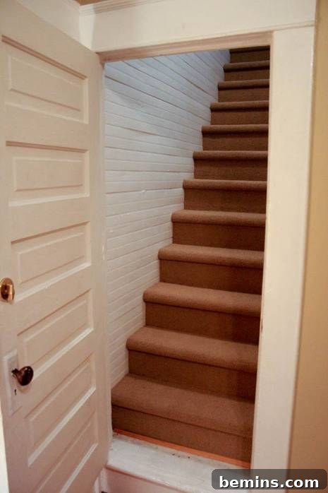 Beautiful Chocolate Brown Staircase Inside a Renovated Home