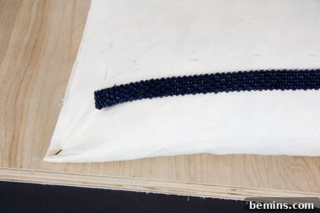 Pillow Form Home Decor
